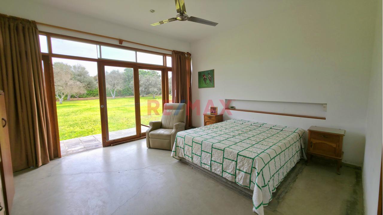 Venta - Casa De Campo- Exclusiva Oportunidad En Chilca – Fundo Los Tilos En Un Oasis De Paz (3,000 M²) - 14