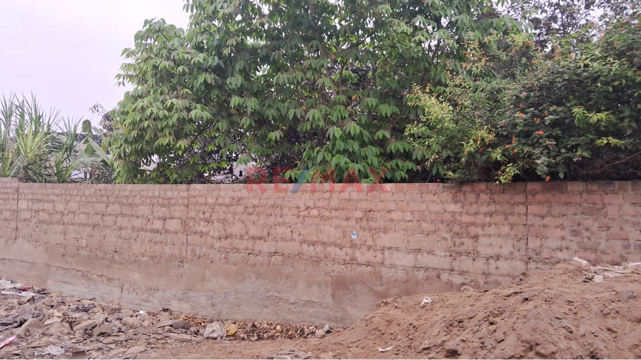 Alquiler De Terreno En Puente Piedra — foto 2