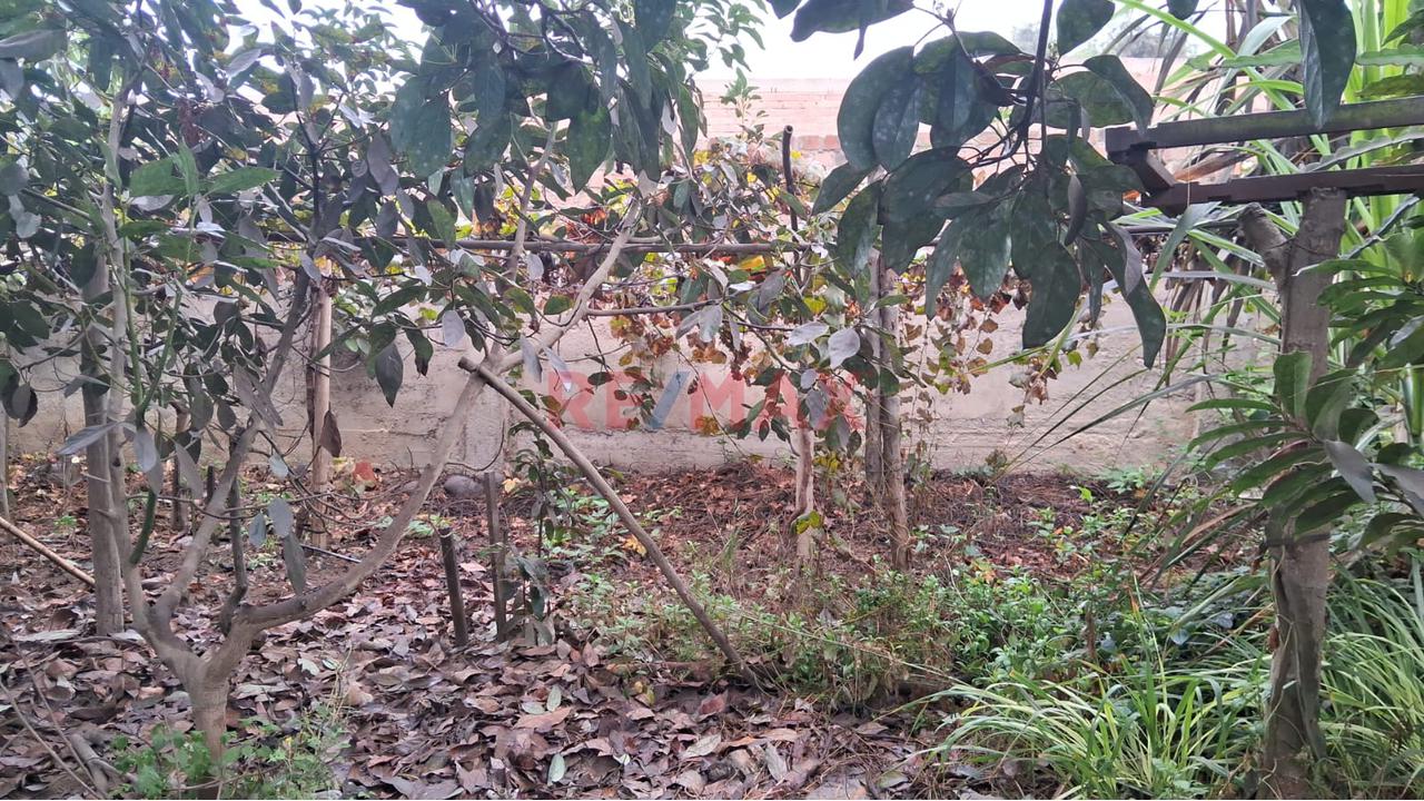 Alquiler De Terreno En Puente Piedra — foto 4