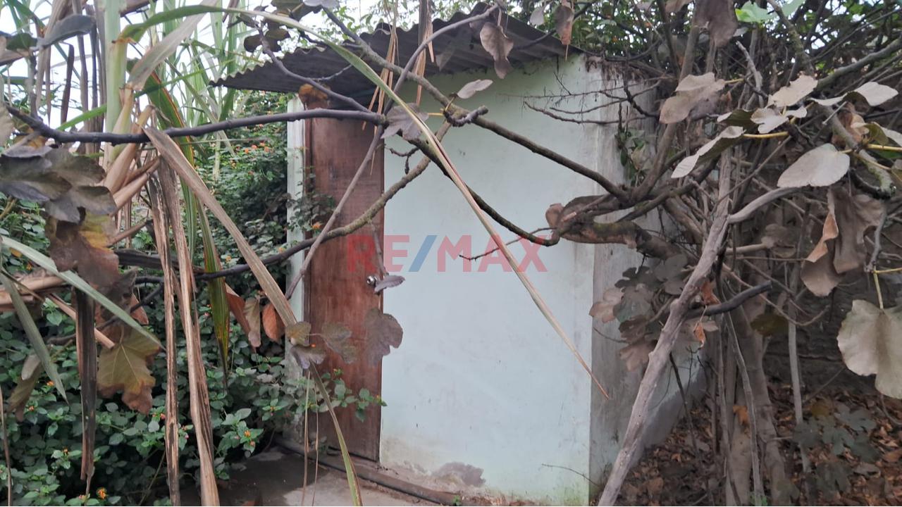 Alquiler De Terreno En Puente Piedra — foto 12
