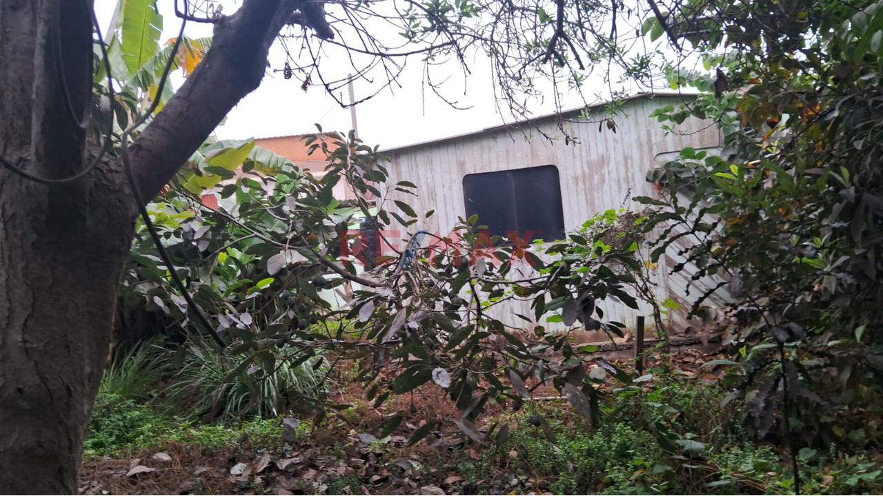 Alquiler De Terreno En Puente Piedra — foto 7