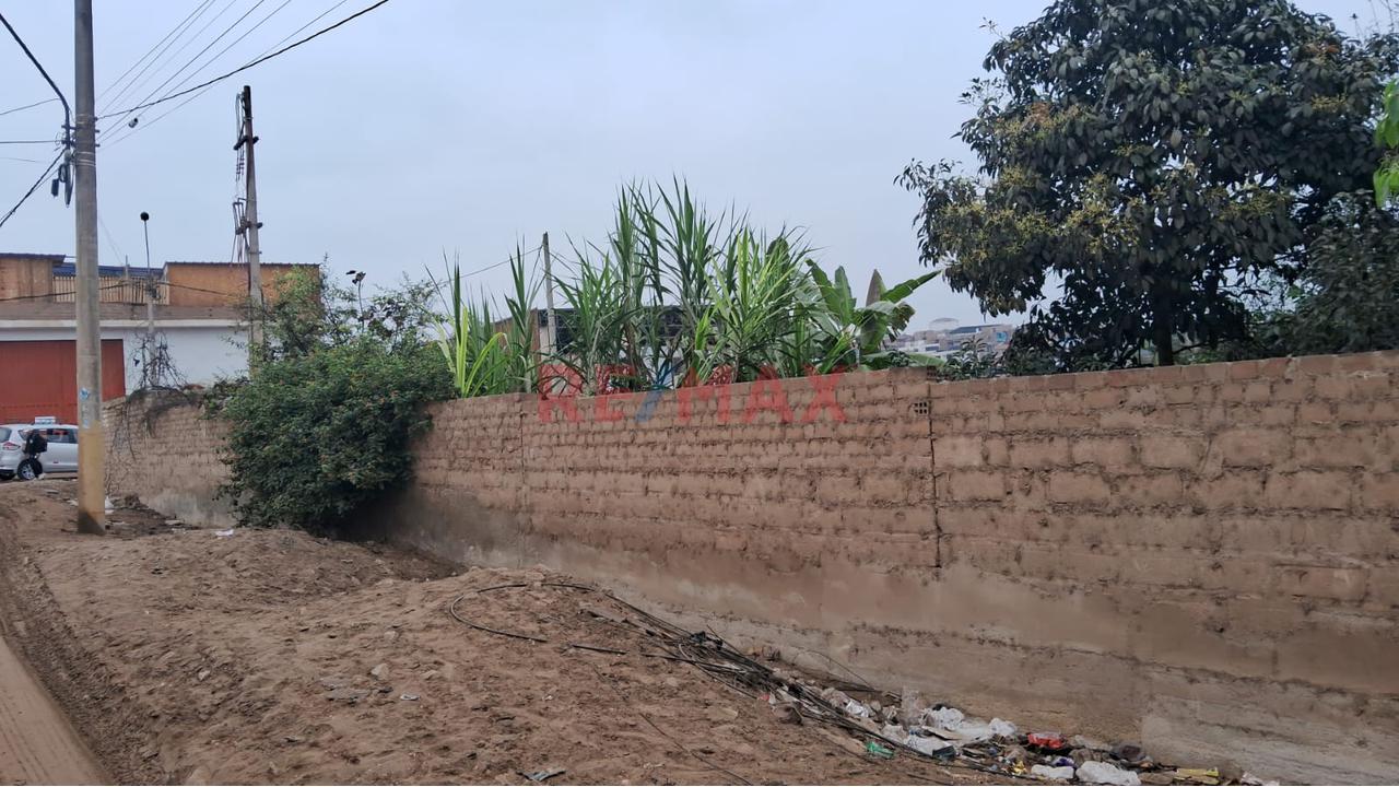 Alquiler De Terreno En Puente Piedra — foto 14