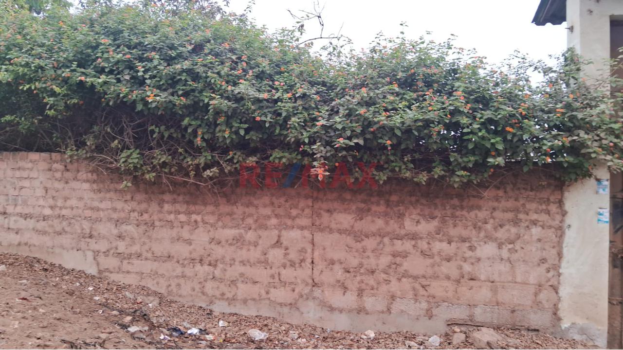 Alquiler De Terreno En Puente Piedra — foto 11