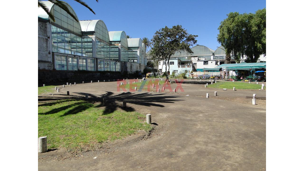 Venta Terreno Estrategico En La Alameda De Tingo - 6