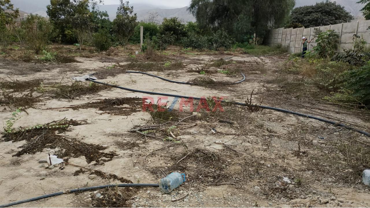 Oferta De Ocacion Lindo Terreno Con El Nejor Clima De Las Montañas De Asia — foto 5