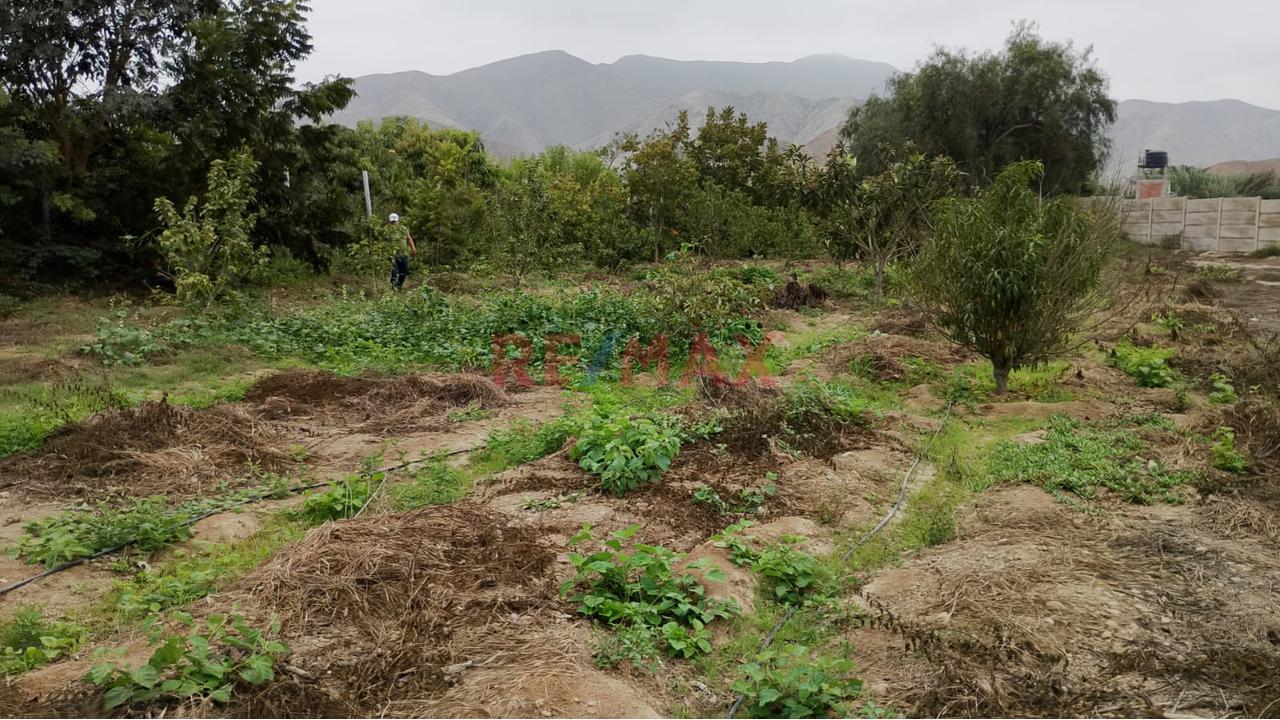 Oferta De Ocacion Lindo Terreno Con El Nejor Clima De Las Montañas De Asia — foto 9