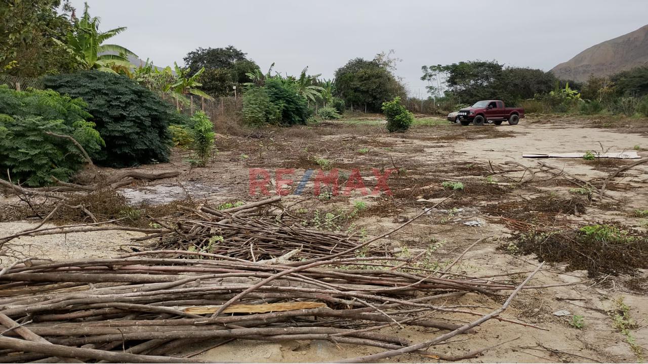 Oferta De Ocacion Lindo Terreno Con El Nejor Clima De Las Montañas De Asia — foto 8