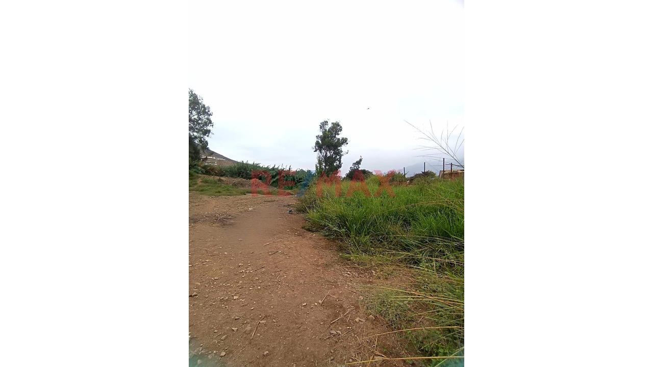 Terreno En Venta En Pachacámac Urbanización Jatosisa  1229.79 M² — foto 4