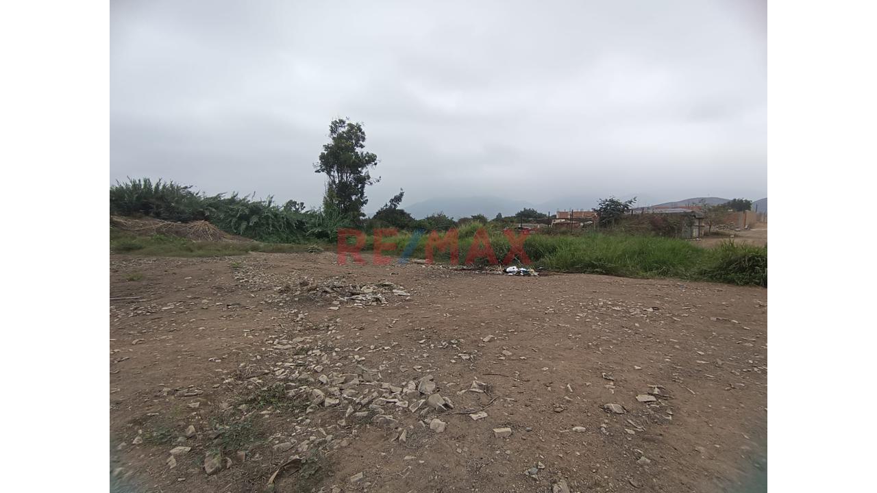 Terreno En Venta En Pachacámac Urbanización Jatosisa  1229.79 M²