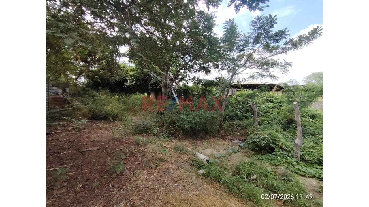 Venta De Terreno Agricola En Cieneguillo Centro - 5