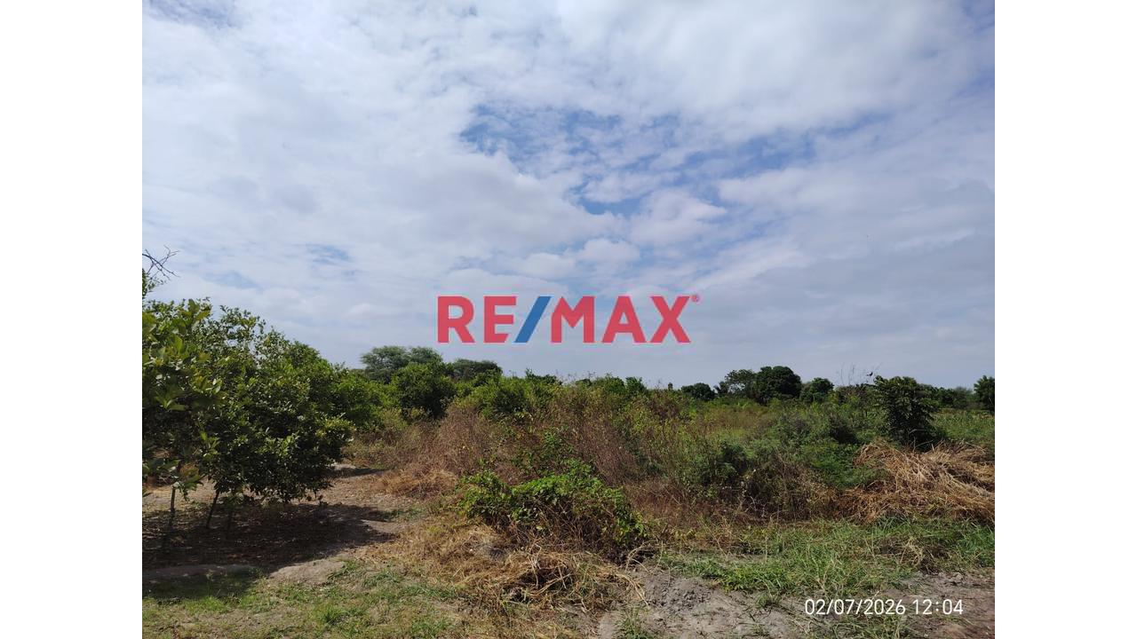 Venta De Terreno Agricola En Cieneguillo Centro - 1