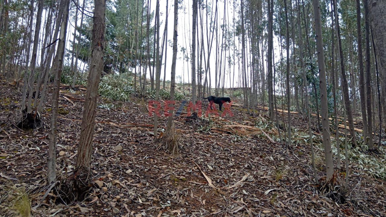 Se Vende Terreno De 1882 M2 En La Carretera A Llacanora Cajamarca - 6