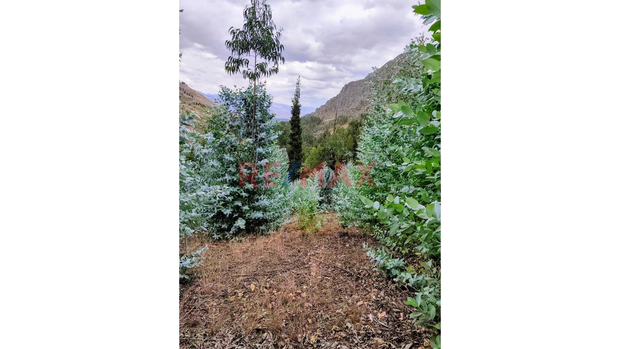 Se Vende Terreno De 1882 M2 En La Carretera A Llacanora Cajamarca - 4