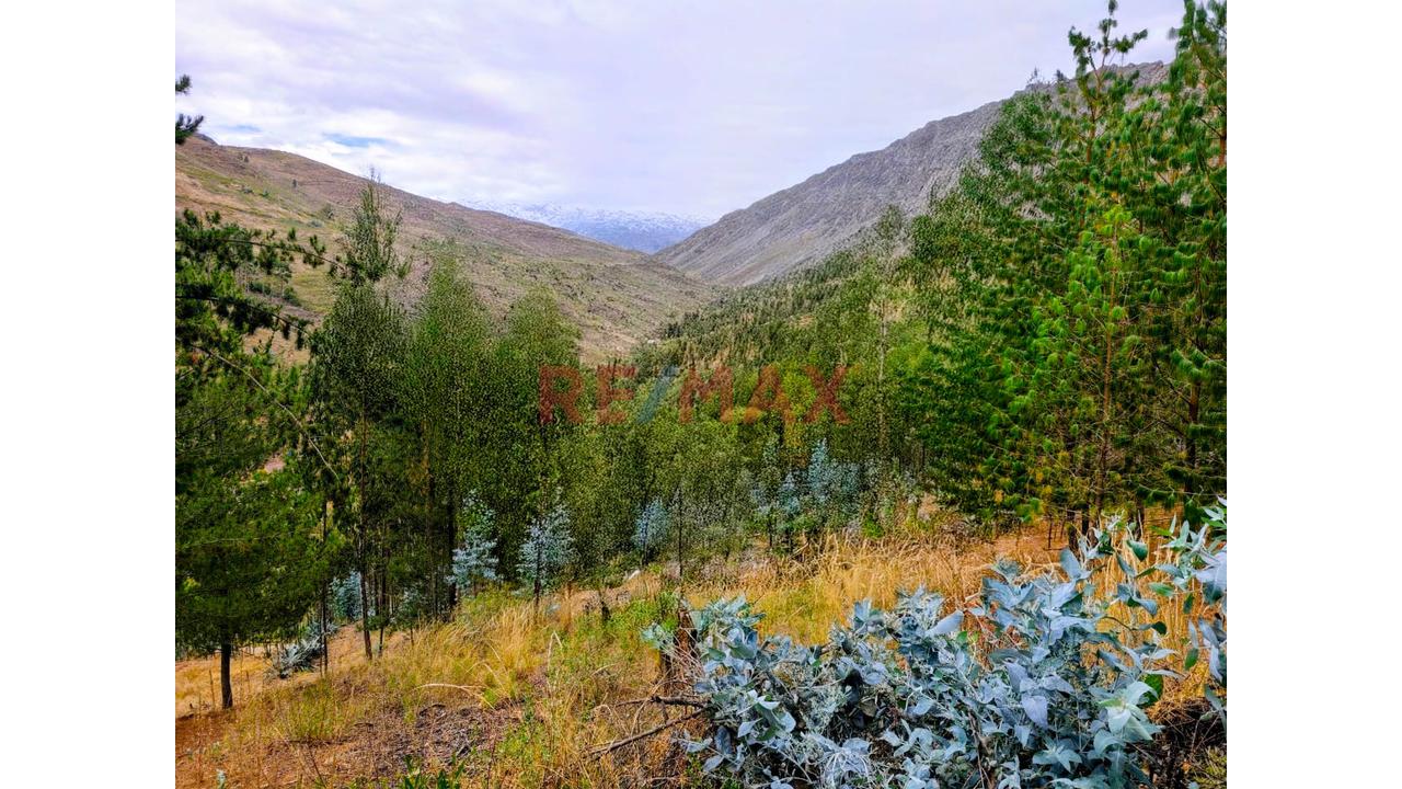 Se Vende Terreno De 1882 M2 En La Carretera A Llacanora Cajamarca - 3