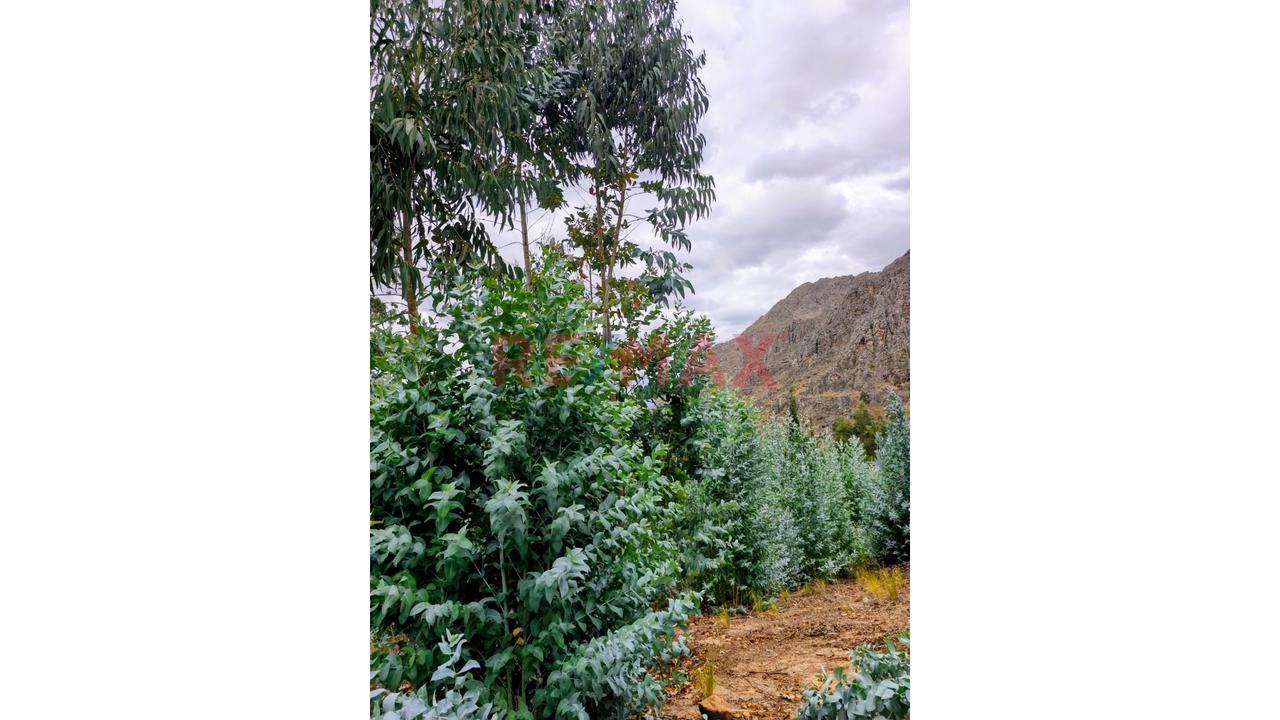 Se Vende Terreno De 1882 M2 En La Carretera A Llacanora Cajamarca - 2