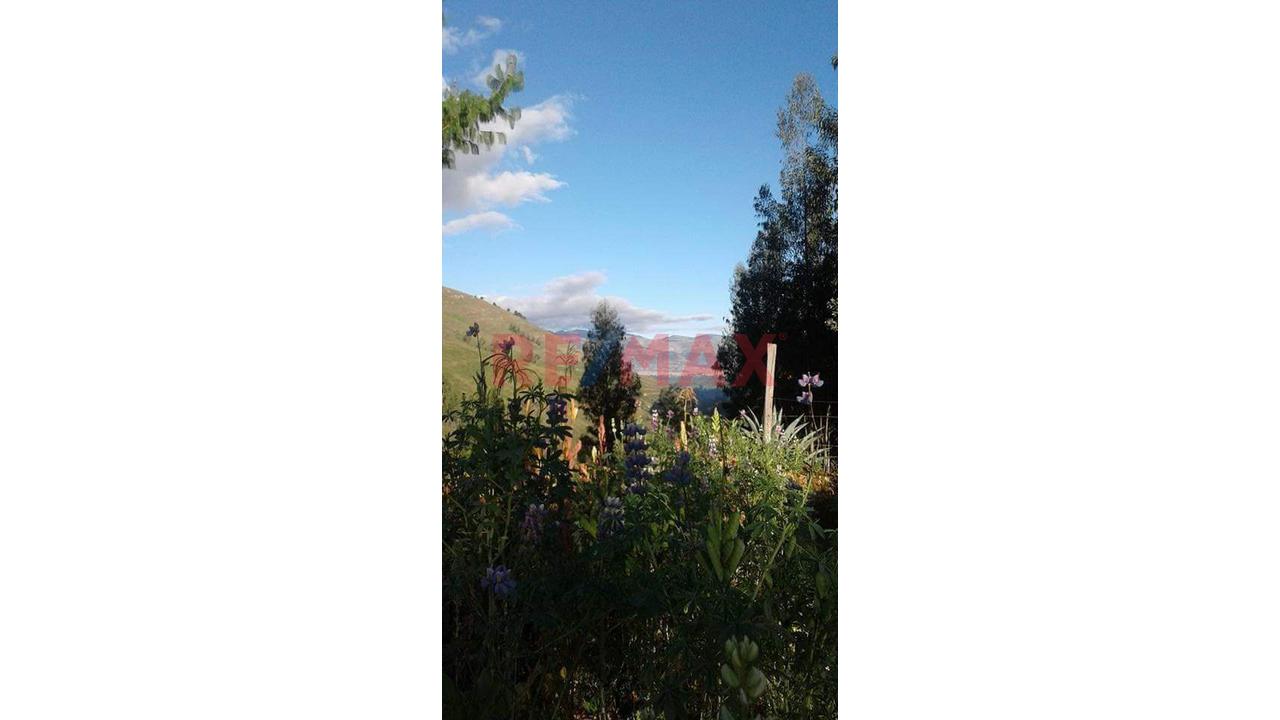 Se Vende Terreno De 7640 M2 En Llacanora - Cajamarca - 14