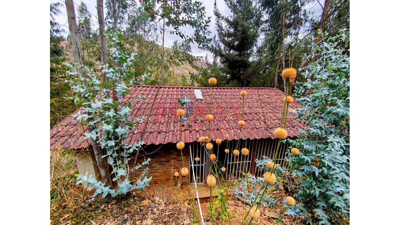 Se Vende Terreno De 7640 M2 En Llacanora - Cajamarca - 15