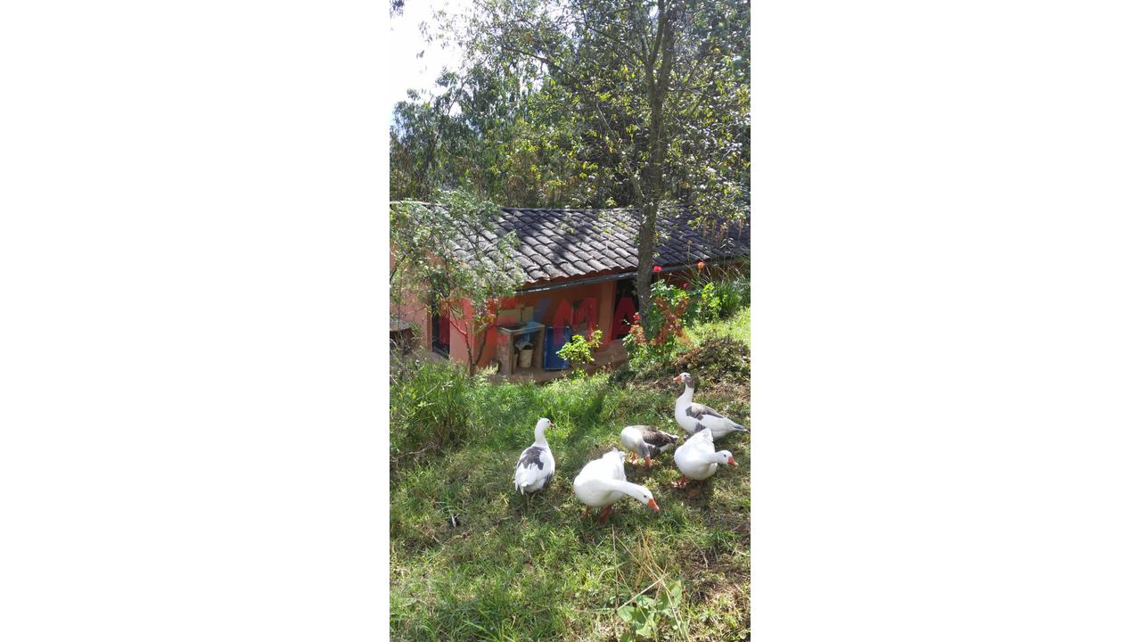 Se Vende Terreno De 7640 M2 En Llacanora - Cajamarca - 9