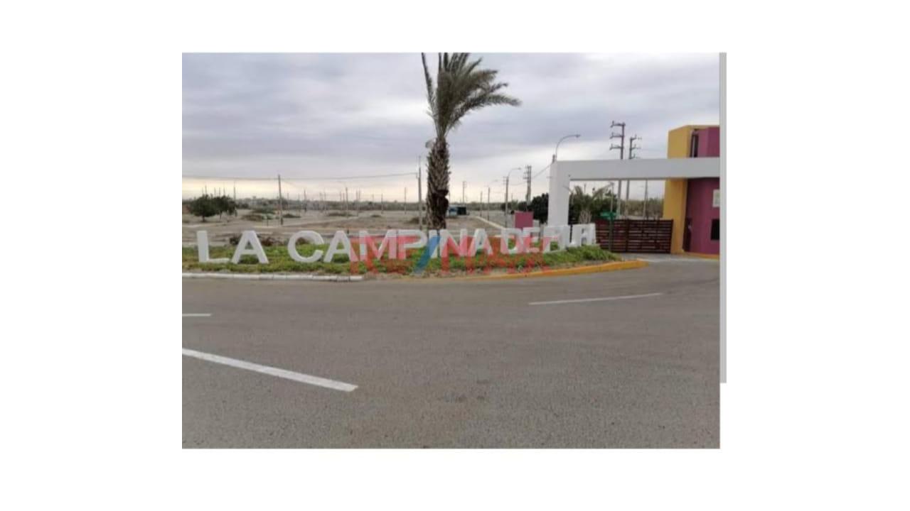 Vendo Lindo Terreno En La Campiña De Piura (Castilla) — foto 3