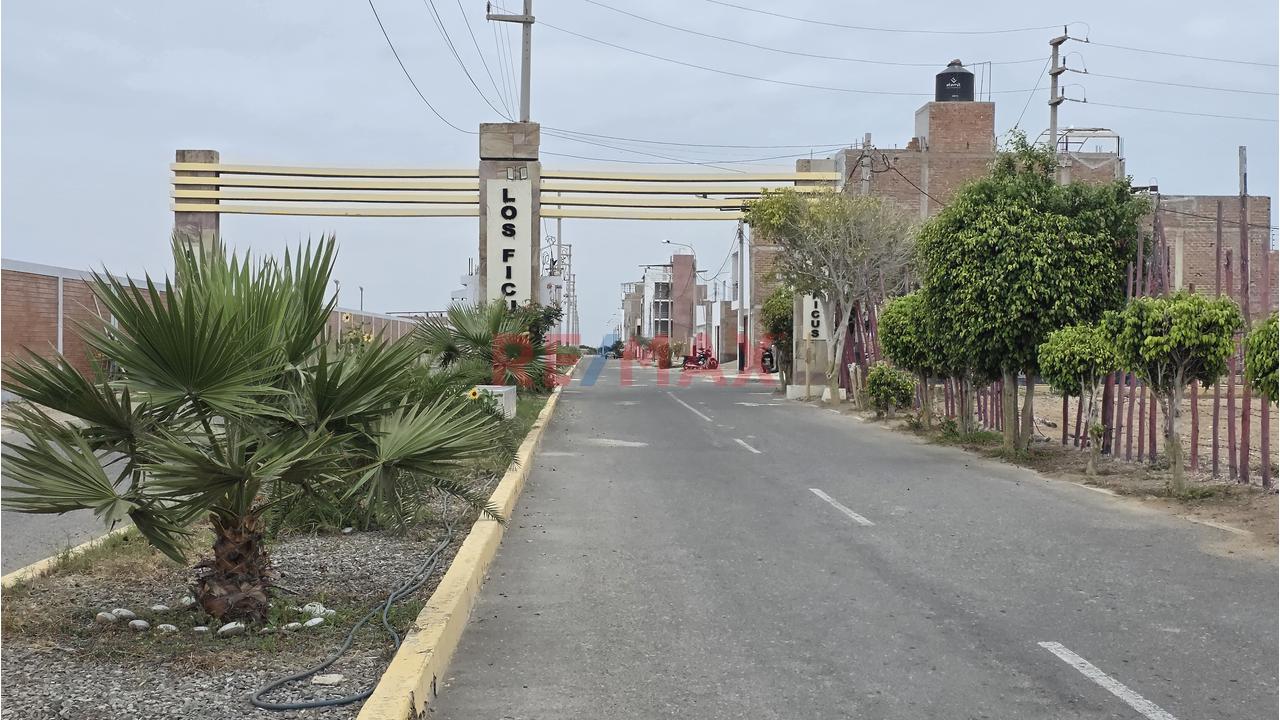 Terreno De 127.20 M2 En La I Etapa De La Urbanizacion Los Ficus Pimentel