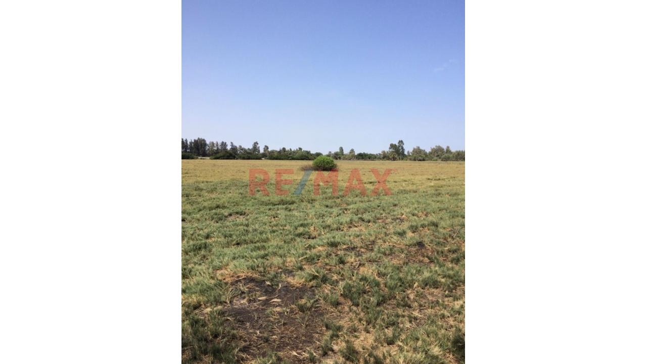 Se Vende Terreno En San Andres Entre La Antigua Y Nueva Panamericana Provincia De Pisco En Ica A Solo 5 Minutos Del Aeropuerto - 4