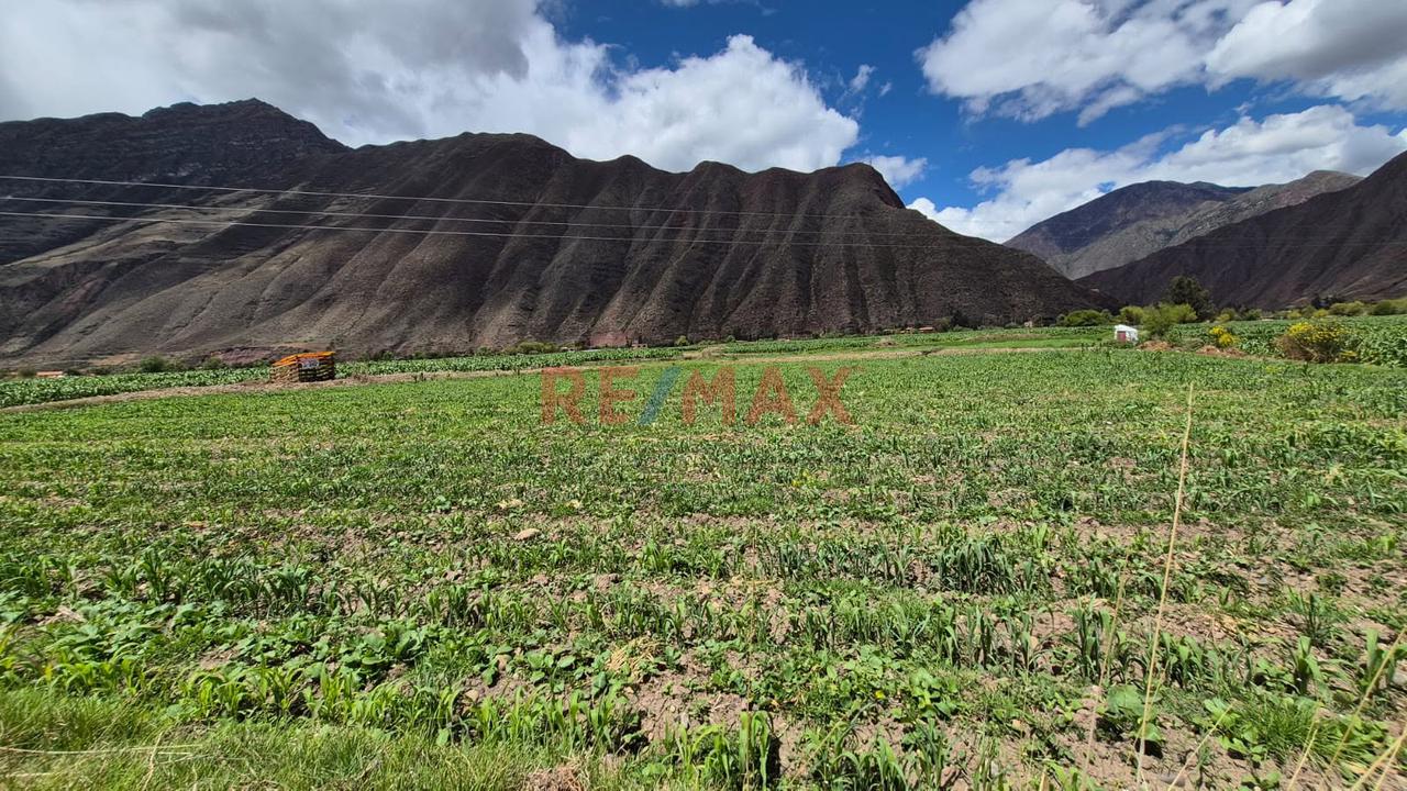 En Venta Terreno En Yucay Urubamba,Valle Sagrado Cusco - 2