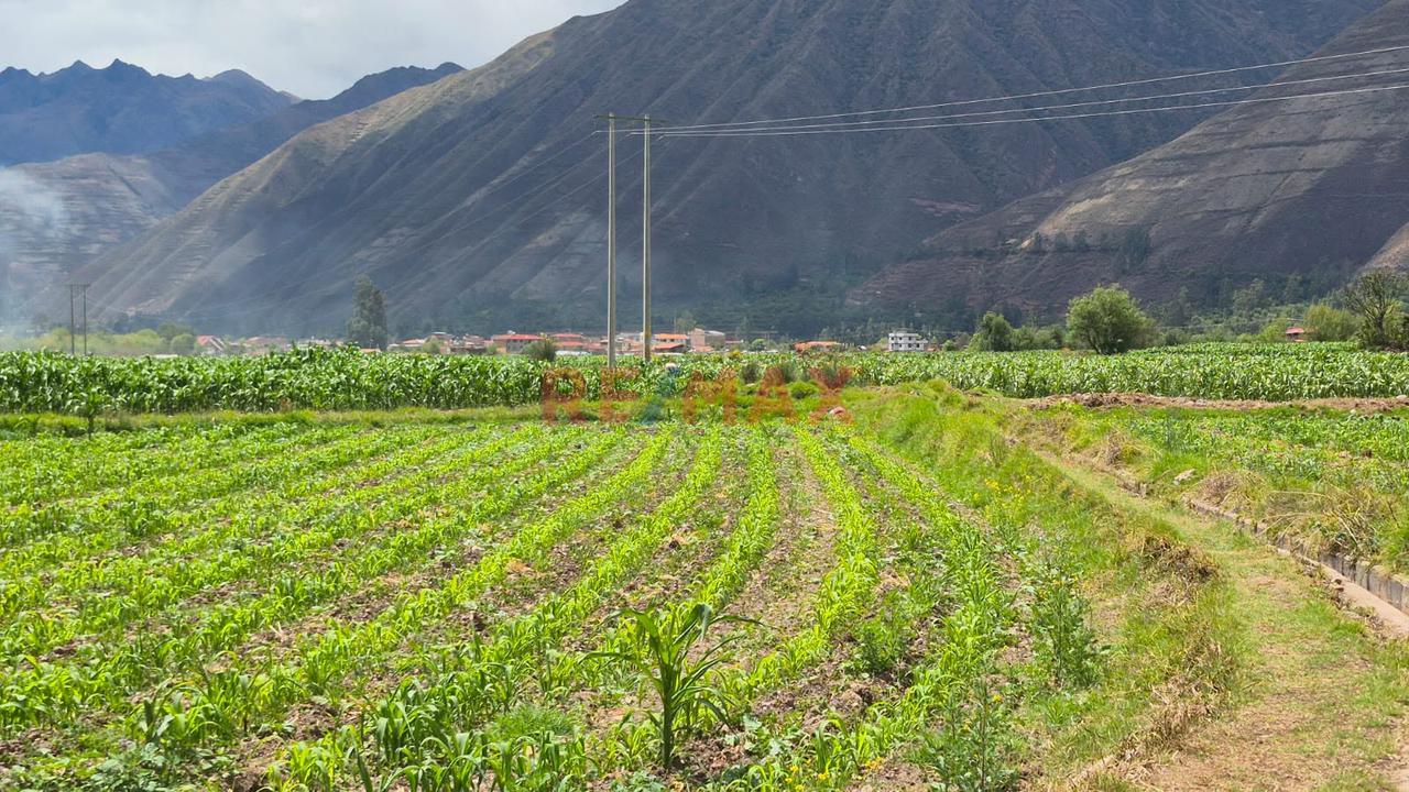 En Venta Terreno En Yucay Urubamba,Valle Sagrado Cusco - 3