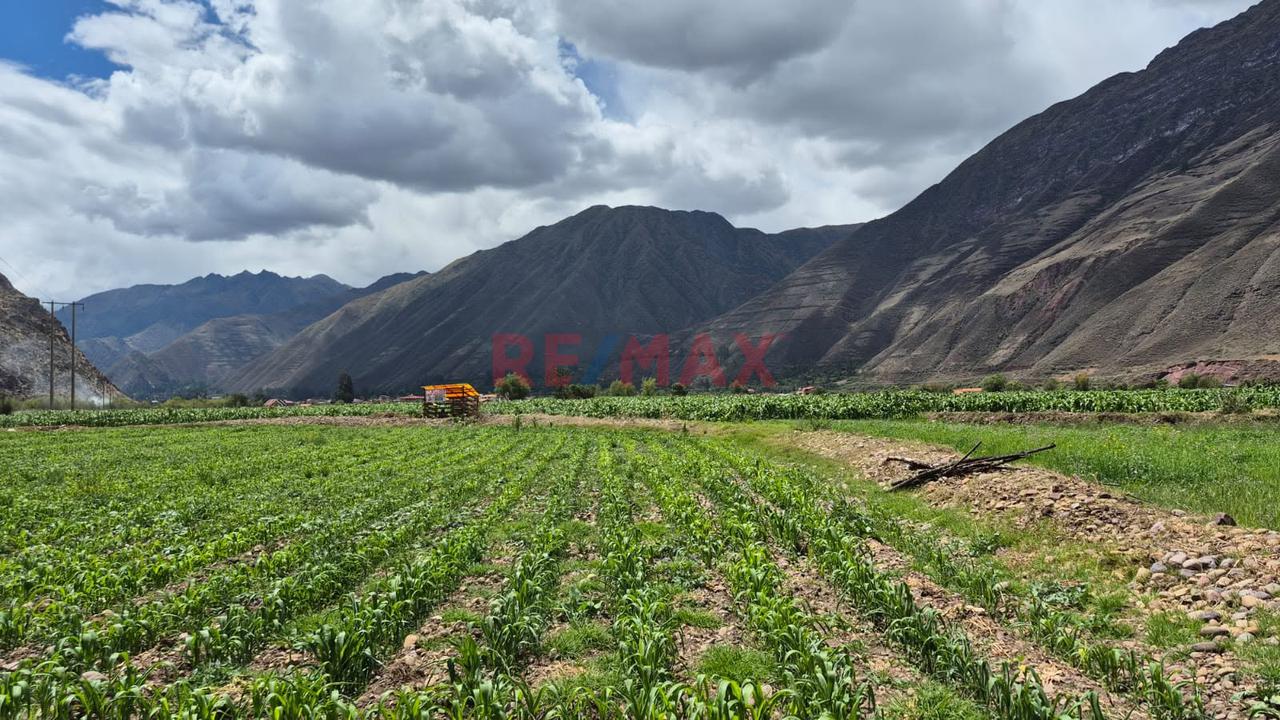 En Venta Terreno En Yucay Urubamba,Valle Sagrado Cusco - 1