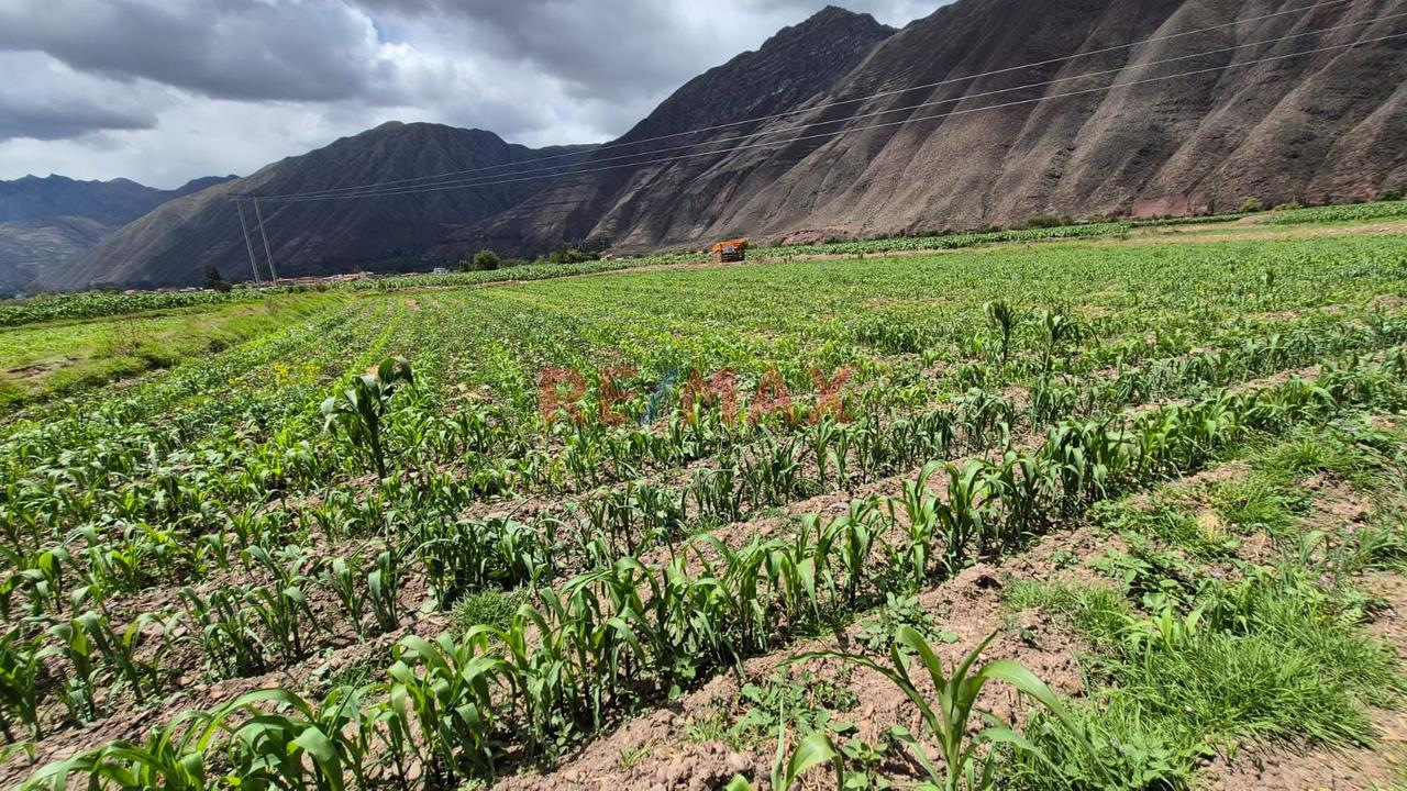 En Venta Terreno En Yucay Urubamba,Valle Sagrado Cusco - 5