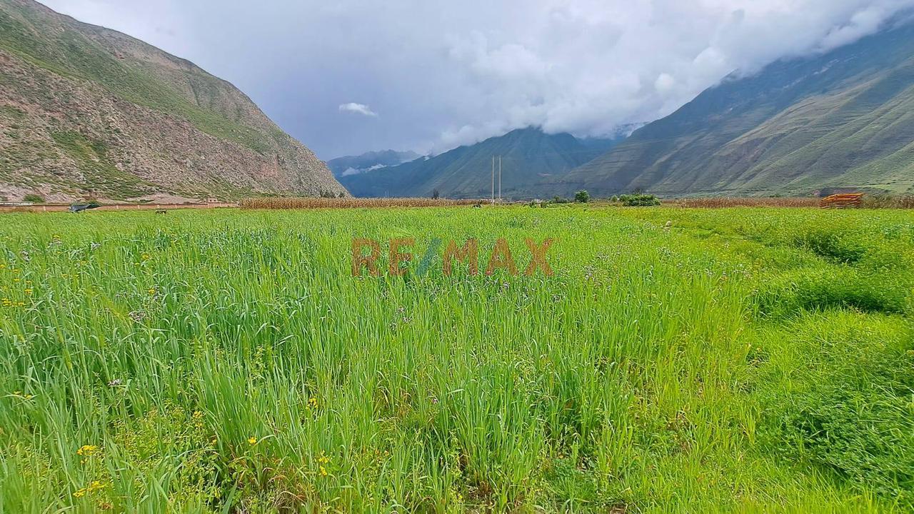 En Venta Terreno En Valle Sagrado De Cusco A Precio De Ocasion - 3