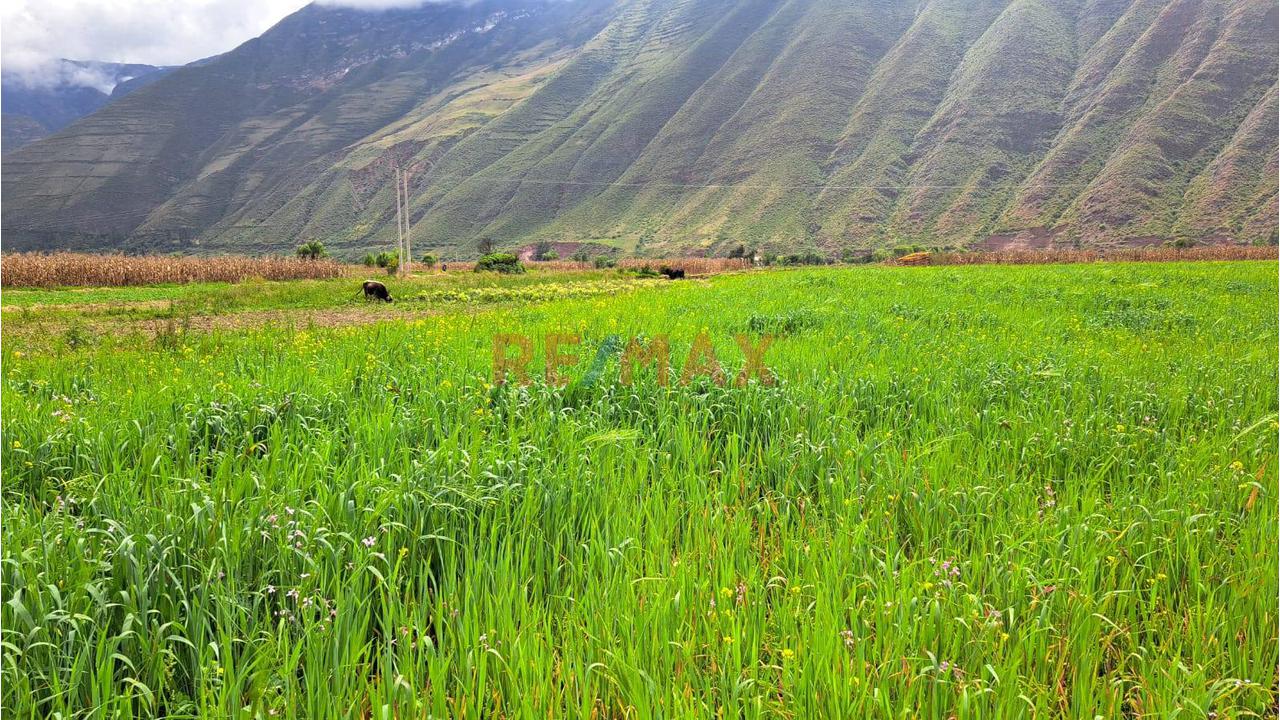 En Venta Terreno En Valle Sagrado De Cusco A Precio De Ocasion - 1