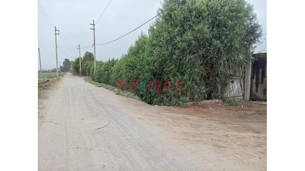 Fundo En Venta En Huaral: 31,438 M2 Ideales Para Inversión Agrícola - 13