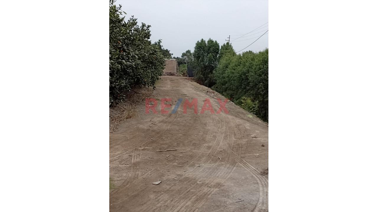 Fundo En Venta En Huaral: 31,438 M2 Ideales Para Inversión Agrícola - 8