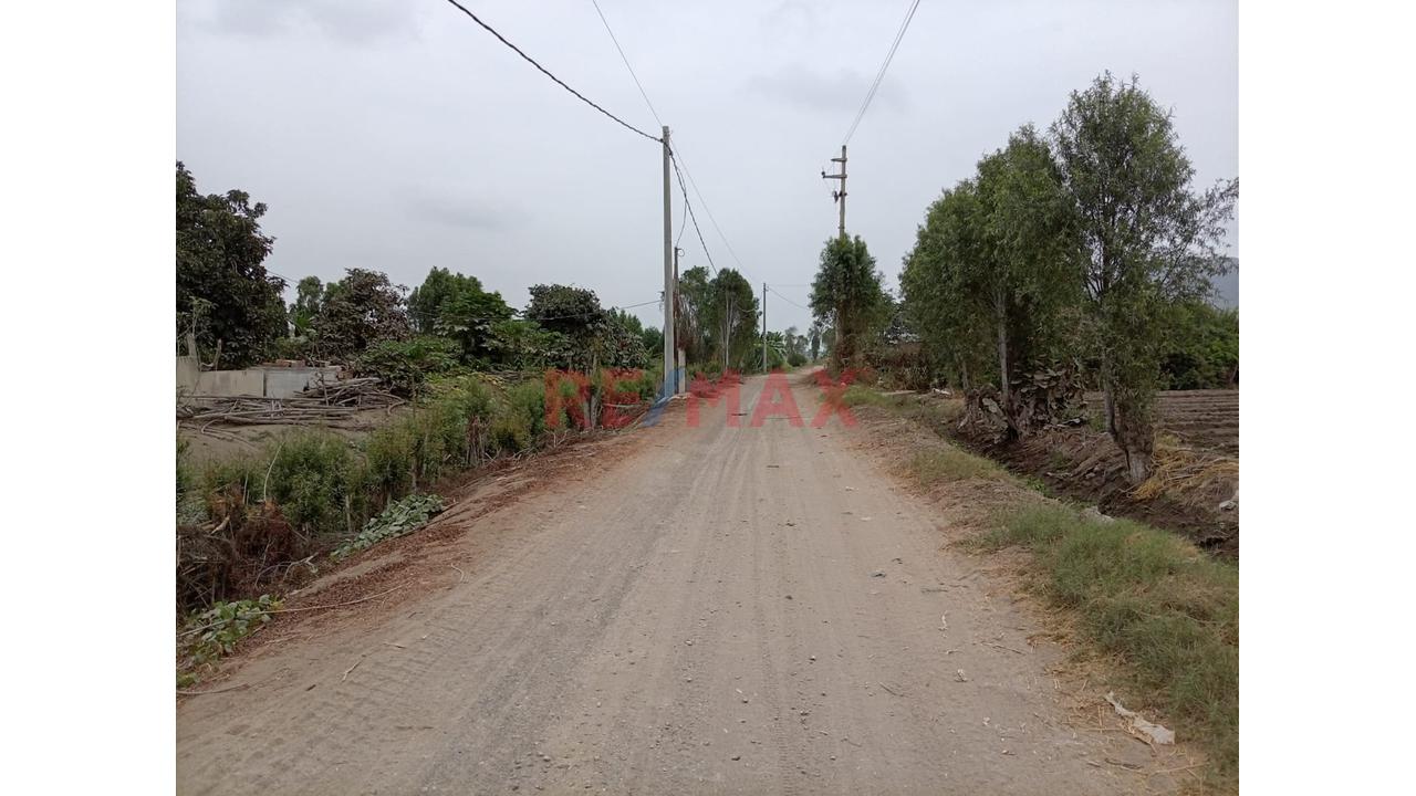 Fundo En Venta En Huaral: 31,438 M2 Ideales Para Inversión Agrícola - 16
