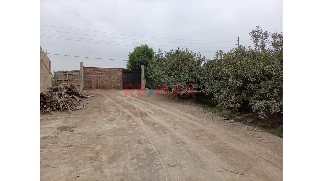 Fundo En Venta En Huaral: 31,438 M2 Ideales Para Inversión Agrícola - 2