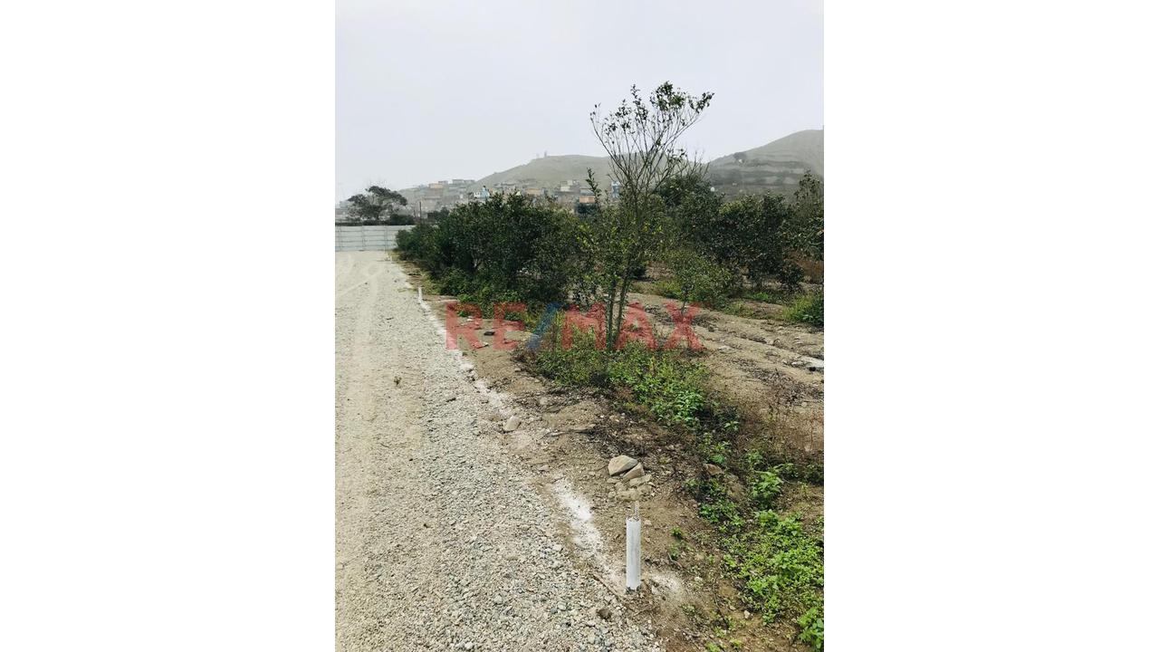 Se Vende Terreno En Huaral - 300 Mts. - 6