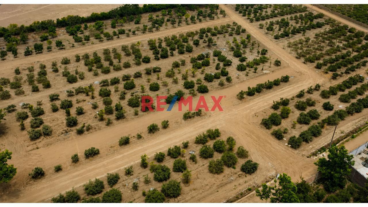 Se Vende Terreno En Huaral - 300 Mts. - 1