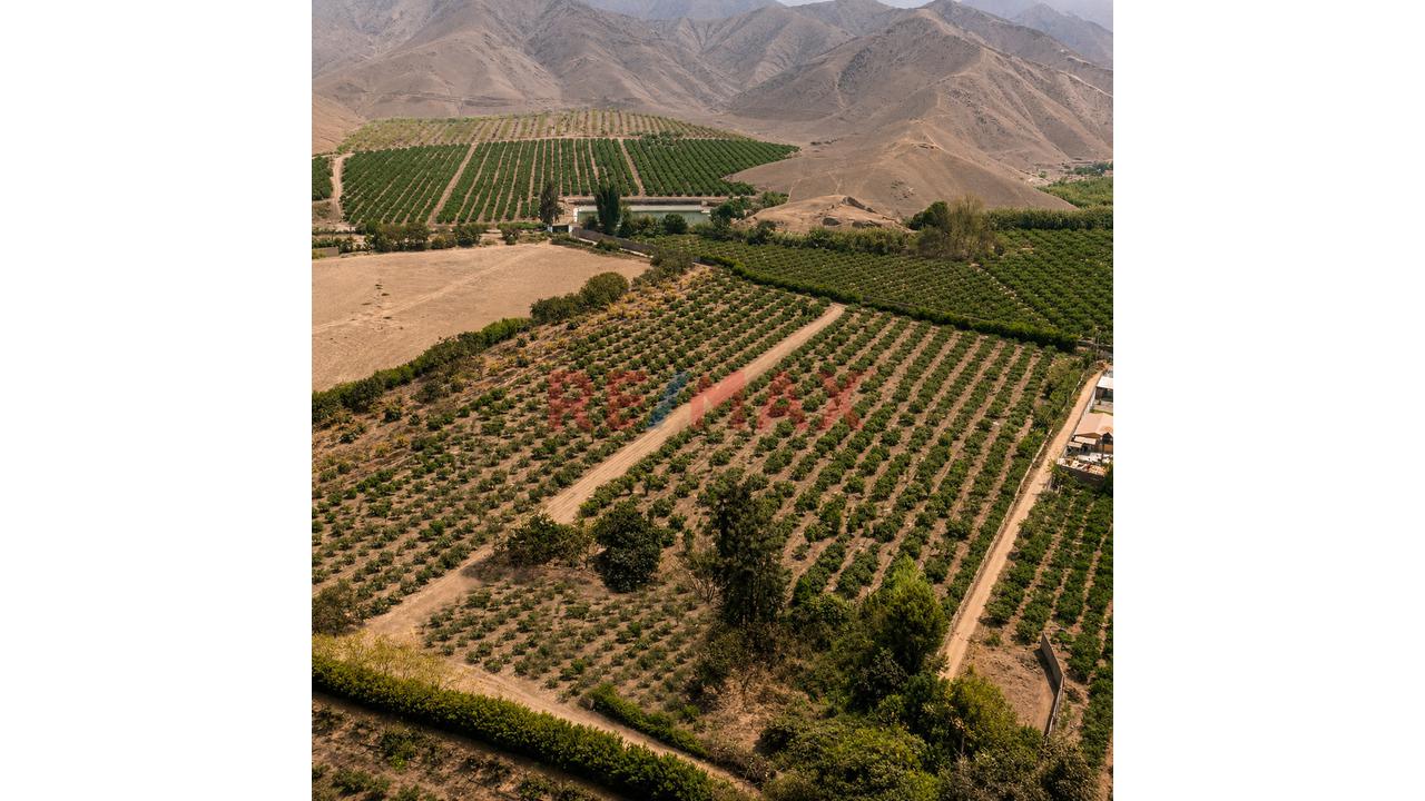 Se Vende Terreno En Huaral - 300 Mts. - 4