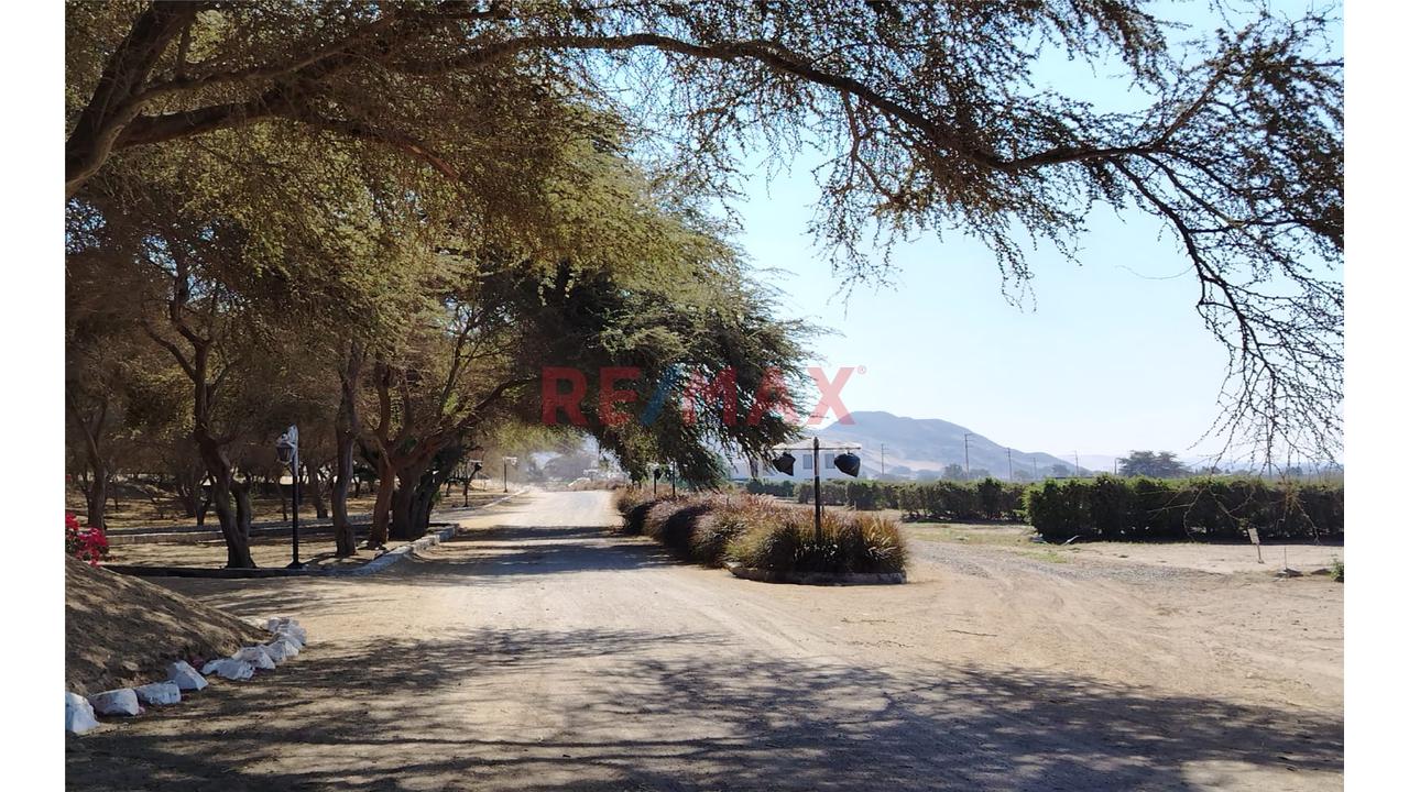 Traspaso De Terreno En Condominio Residencial Campo Valle Sacta – Primera Etapa | Santiago - Ica - 9