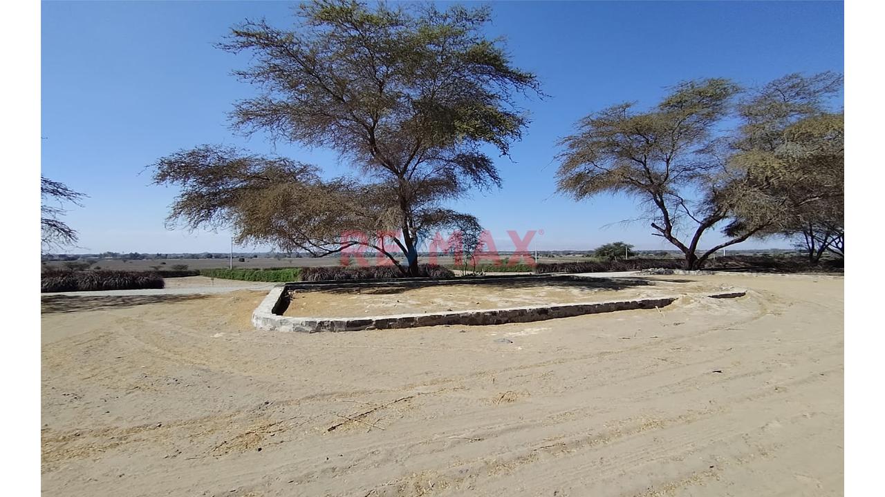 Traspaso De Terreno En Condominio Residencial Campo Valle Sacta – Primera Etapa | Santiago - Ica - 8