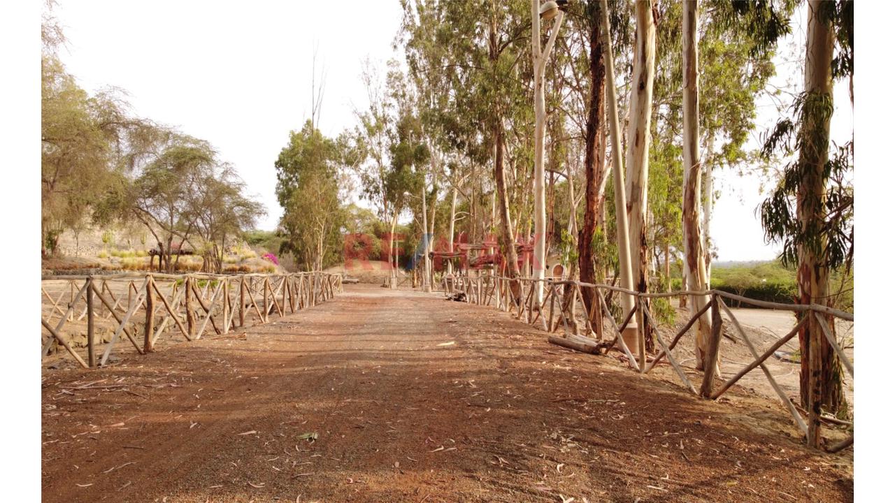 Traspaso De Terreno En Condominio Residencial Campo Valle Sacta – Primera Etapa | Santiago - Ica - 10