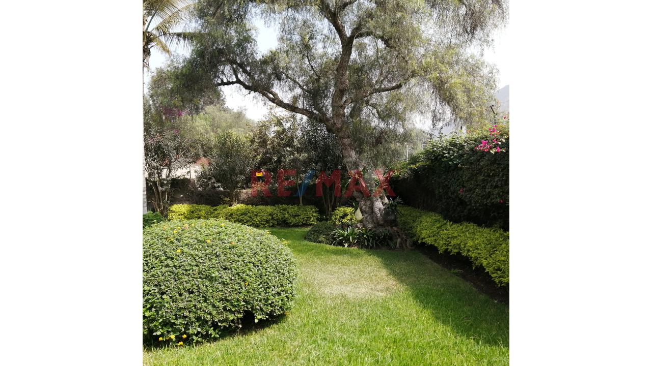 Se Vende Espectacular Y Exclusiva Casa De Campo En Cieneguilla - 17