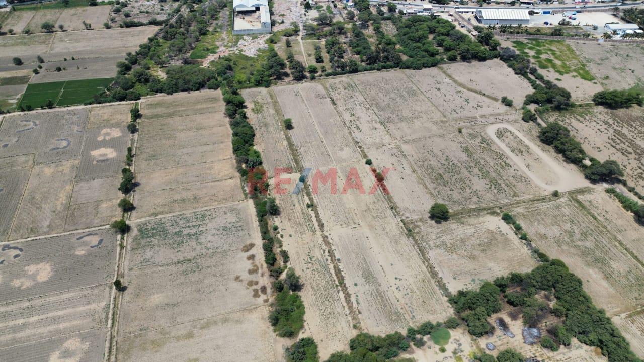Gran Oportunidad De Invertir !!! Vendo Terreno Agricola En Catacaos - Piura Ubicado A Menos De Un Km En La Av. Que Conecta El Bajo Piura Con El Medio Piura   $ 160,000.00 - 8