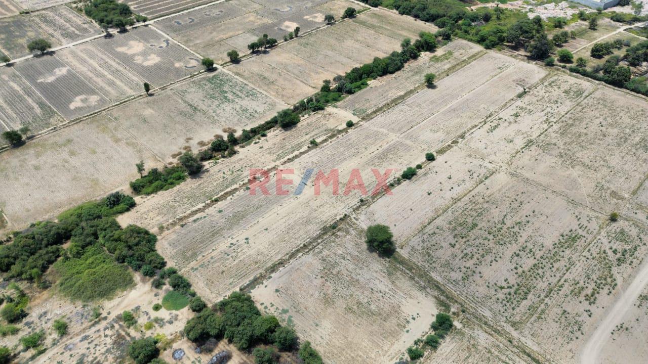 Gran Oportunidad De Invertir !!! Vendo Terreno Agricola En Catacaos - Piura Ubicado A Menos De Un Km En La Av. Que Conecta El Bajo Piura Con El Medio Piura   $ 160,000.00 - 3