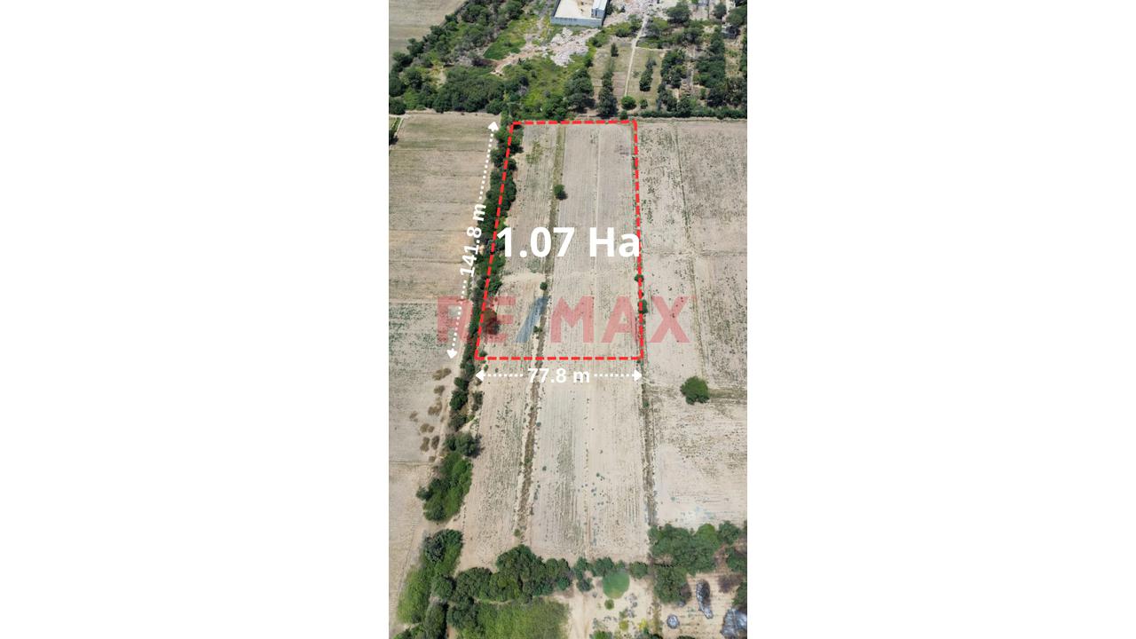 Gran Oportunidad De Invertir !!! Vendo Terreno Agricola En Catacaos - Piura Ubicado A Menos De Un Km En La Av. Que Conecta El Bajo Piura Con El Medio Piura   $ 160,000.00 - 5