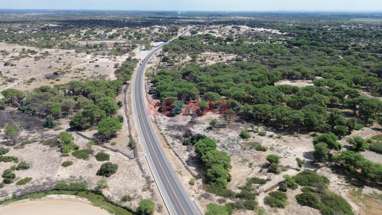 🌄 32 Hectáreas En Vía De Evitamiento Este, Castilla – Piura ✅ Frente Al Nuevo Proyecto De Besco, En Plena Zona De Expansión Urbana 📐959 Ml De Frente⚡ — foto 6