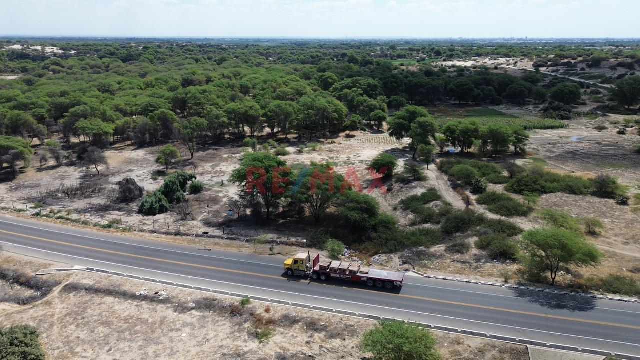 🌄 32 Hectáreas En Vía De Evitamiento Este, Castilla – Piura ✅ Frente Al Nuevo Proyecto De Besco, En Plena Zona De Expansión Urbana 📐959 Ml De Frente⚡ — foto 3