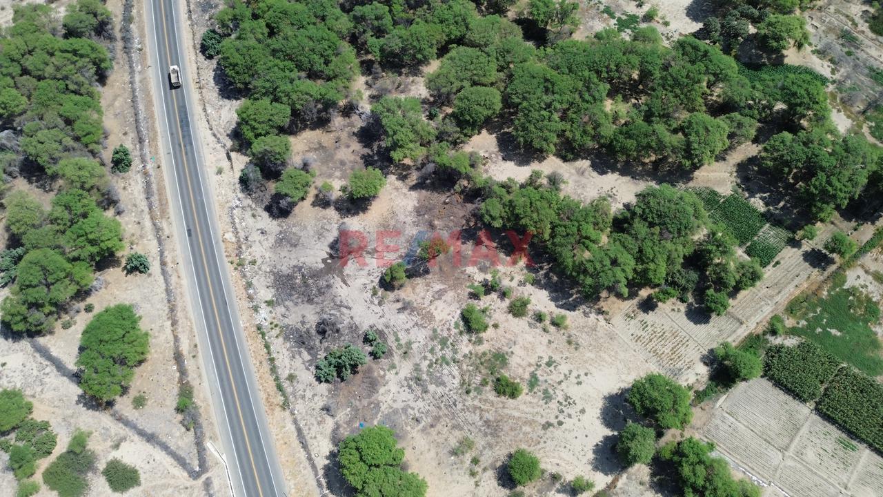 🌄 32 Hectáreas En Vía De Evitamiento Este, Castilla – Piura ✅ Frente Al Nuevo Proyecto De Besco, En Plena Zona De Expansión Urbana 📐959 Ml De Frente⚡ — foto 4