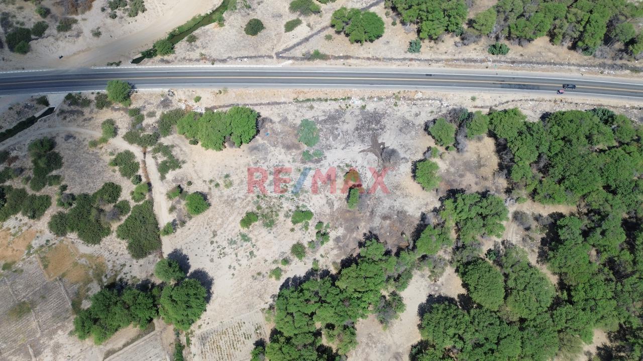 🌄 32 Hectáreas En Vía De Evitamiento Este, Castilla – Piura ✅ Frente Al Nuevo Proyecto De Besco, En Plena Zona De Expansión Urbana 📐959 Ml De Frente⚡ — foto 5