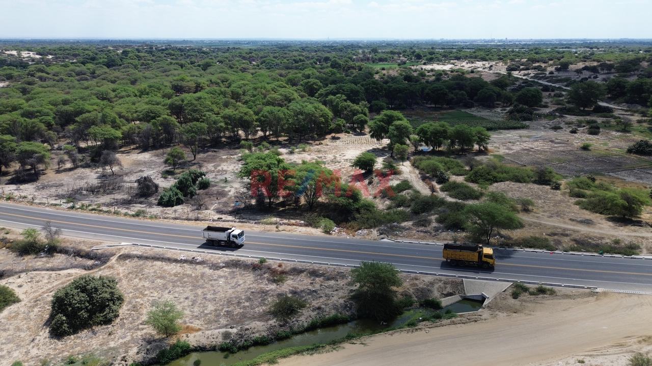 🌄 32 Hectáreas En Vía De Evitamiento Este, Castilla – Piura ✅ Frente Al Nuevo Proyecto De Besco, En Plena Zona De Expansión Urbana 📐959 Ml De Frente⚡ — foto 8